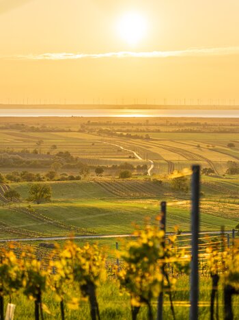 Ferienreise railtour Burgenland | © Burgenland Tourismus Birgit Machtinger