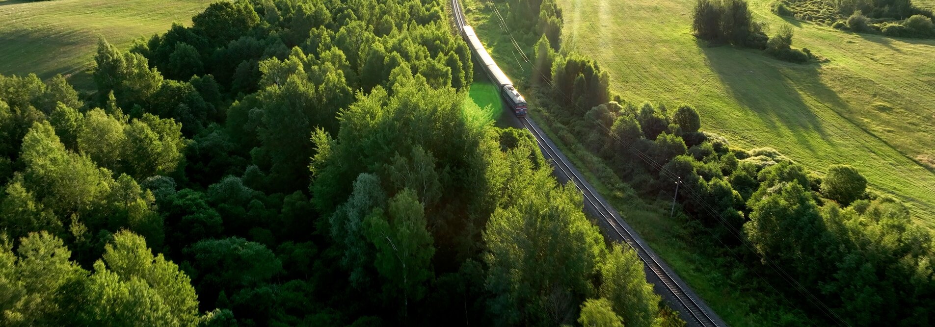 Zug fährt durch grüne Landschaft. 