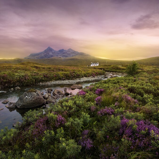 Landscape in the Scottish Highlands | © Shutterstock 224969548 Landscape in the Scottish Highlands | © Shutterstock 224969548