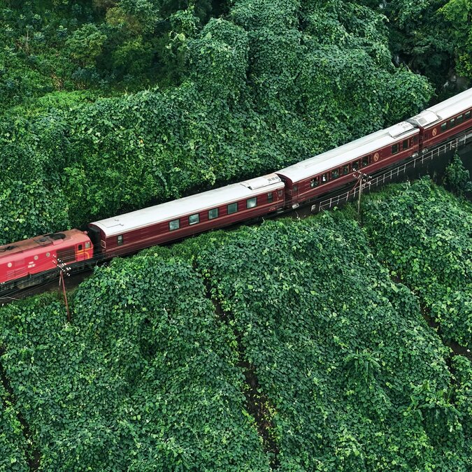 SJourney Vietnam Luxury Express, Aussensicht, Zug im Grünen | © SJourney Vietnam Luxury Express