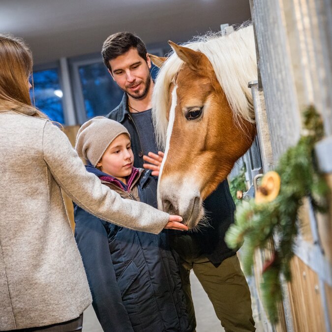 railtour Städtereise Kufstein | © TVB-Kufsteinerland_Nikolaus-Faistauer