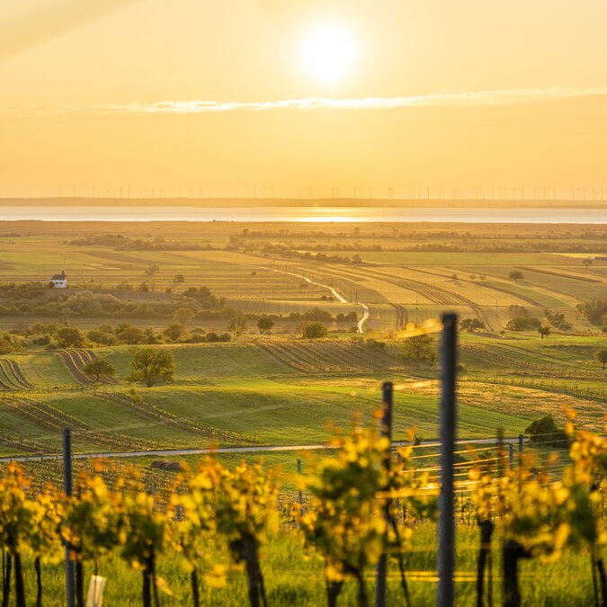 Ferienreise railtour Burgenland | © Burgenland Tourismus Birgit Machtinger