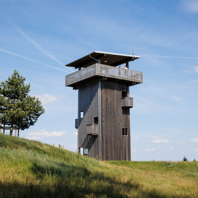Tour d’observation moderne en bois située sur une prairie en pente douce dans le Burgenland, en Autriche. La plateforme offre une vue dégagée sur le paysage environnant, avec quelques arbres à proximité sous un ciel bleu. | © Eisenstadt2026_0049©BurgenlandTourismus_MariaHollunder