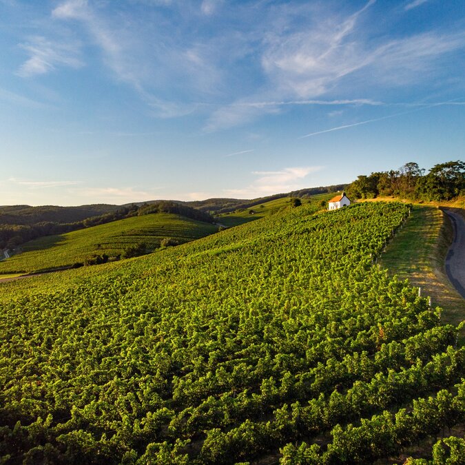 Naturerlebnis Mittelburgenland-Rosalia | © BurgenlandTourismus_stillsandemotions