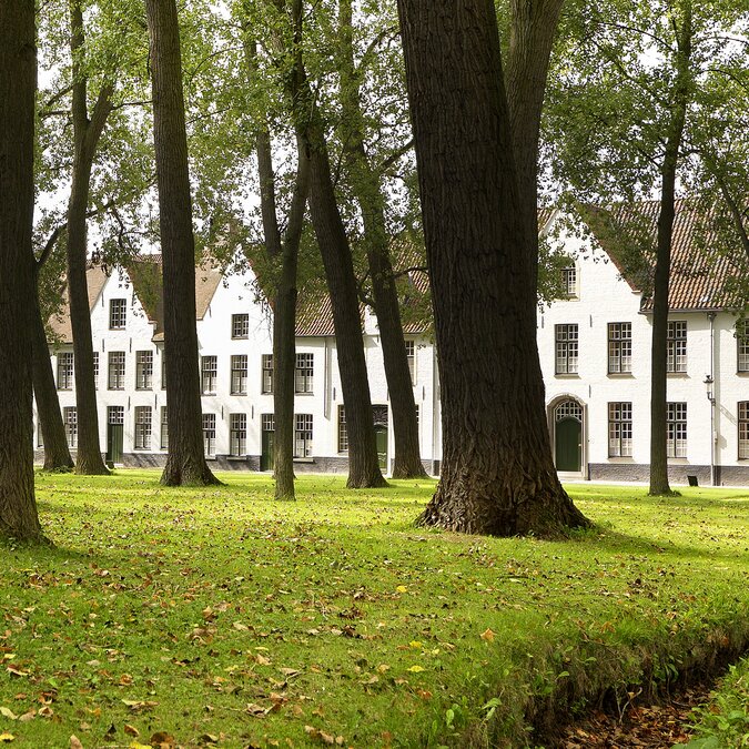 Pelouse verdoyante avec des arbres devant des maisons historiques blanches dans le béguinage de Bruges. | © Milo Profi – Bruges, Béguinage