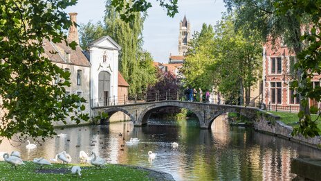 Brügge Minnewater: Historische Steinbrücke mit Schwänen und Blick auf die Liebfrauenkirche | &copy; Piet de Kersgieter – Brügge, Blick auf Wijngaardbrug