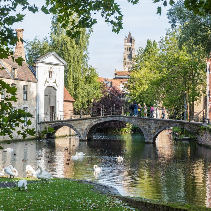 Pont en pierre au-dessus du Minnewater à Bruges, entouré de cygnes, d'arbres et de maisons historiques. | © Piet de Kersgieter – Brügge, Blick auf Wijngaardbrug