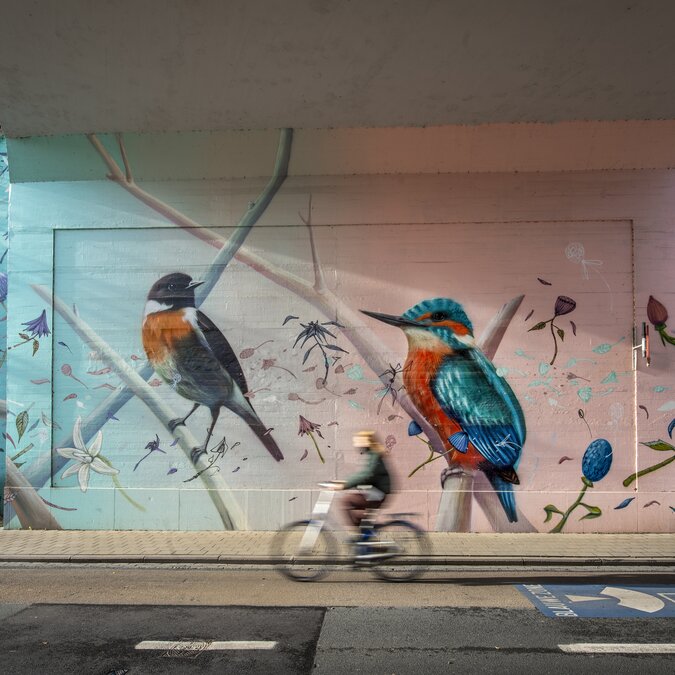 Une grande fresque de street art aux motifs d'oiseaux colorés sur un passage souterrain, devant laquelle passe une personne à vélo. | © Karl Bruninx, Stad Leuven 