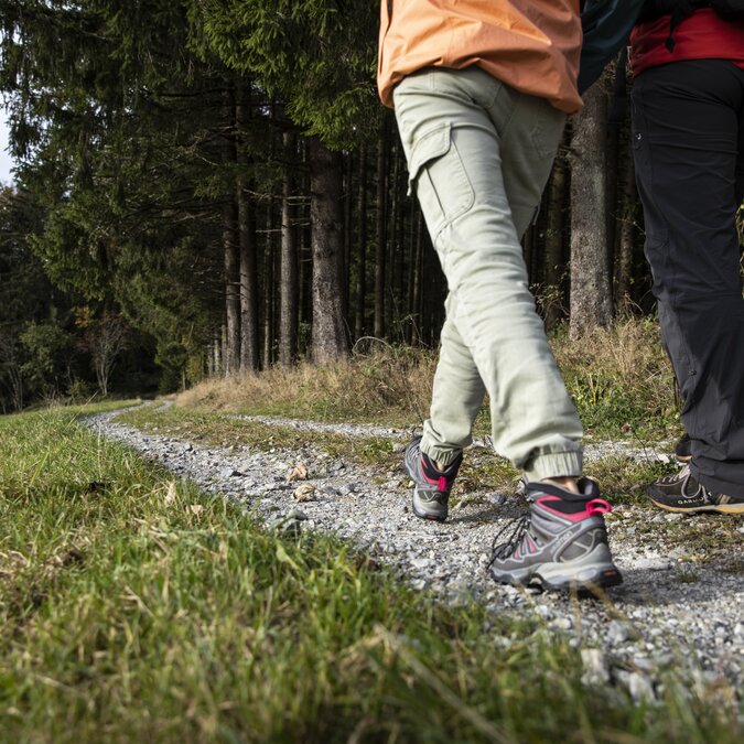 Beautiful hikes around Linz, along the river or in the forest | © Linz Tourismus