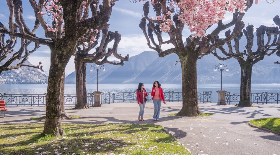Deux personnes se promènent sous des arbres en fleurs le long de la promenade de Lugano avec vue sur le lac de Lugano et les montagnes au printemps. | ©  Ticino Turismo-parisiva
