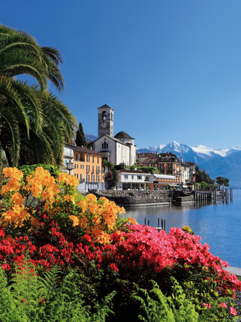 Colorful flower beds and palm trees in Brissago overlooking Lake Maggiore, the village church and snow-capped mountains in the background. | ©  Ticino Turismo, Foto Christof Sonderegger, solo uso turistico , no commerciale
