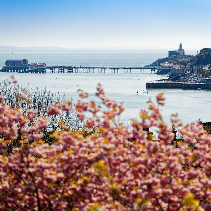 Pier und Hafen bei Swansea in Wales | © Crown Copyright (2026) Welsh Government
