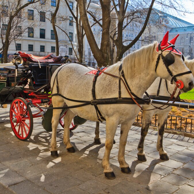 Fiaker horse carriage in Vienna | © Shutterstock 99896087