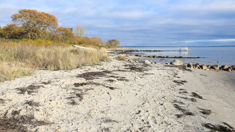Bellevue Strand in Aarhus, Dänemark | &copy; shutterstock_2560129319