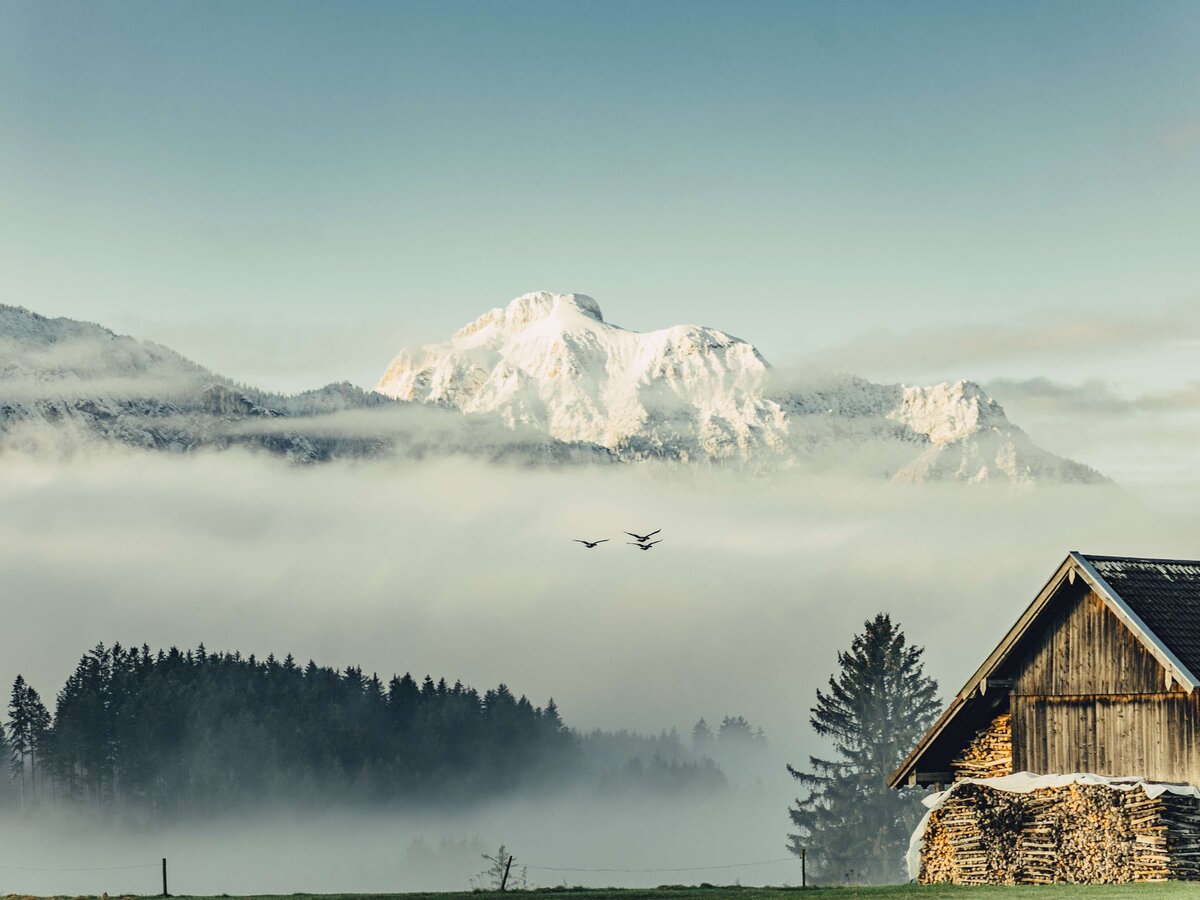 Allgäu | railtour - the swiss travel specialist