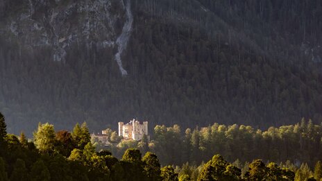 Die Allgäu Alpen in Bayern, Deutschland  | &copy; Shutterstock 2365514669