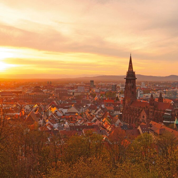 Sonnenuntergang über der Stadt Freiburg im Breisgau | © Shutterstock 621812066