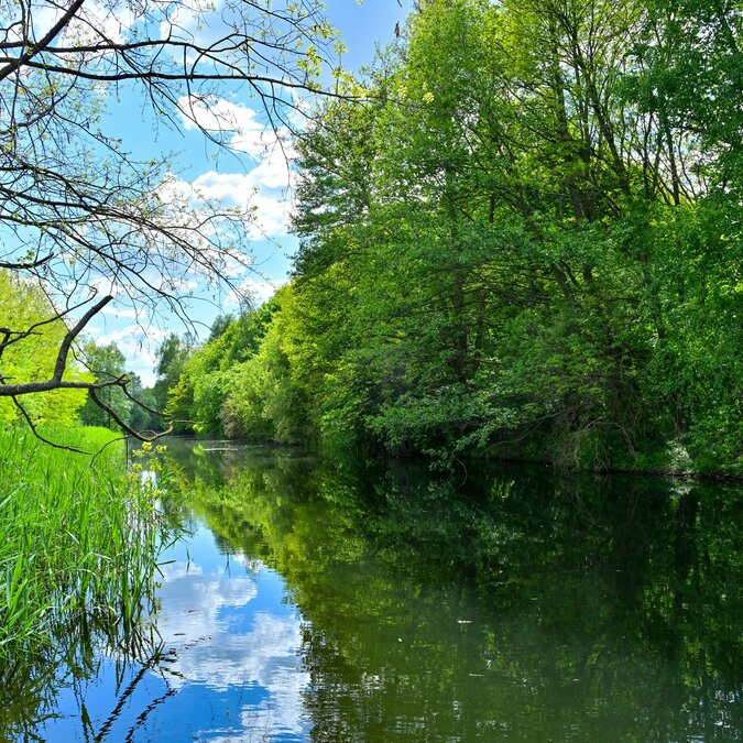 Seenlandschaft im Sommer in Potsdam | © shutterstock_2630040029