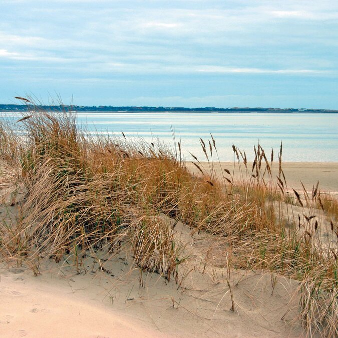 Paysages de dunes sur l'île de Föhr, en mer du Nord