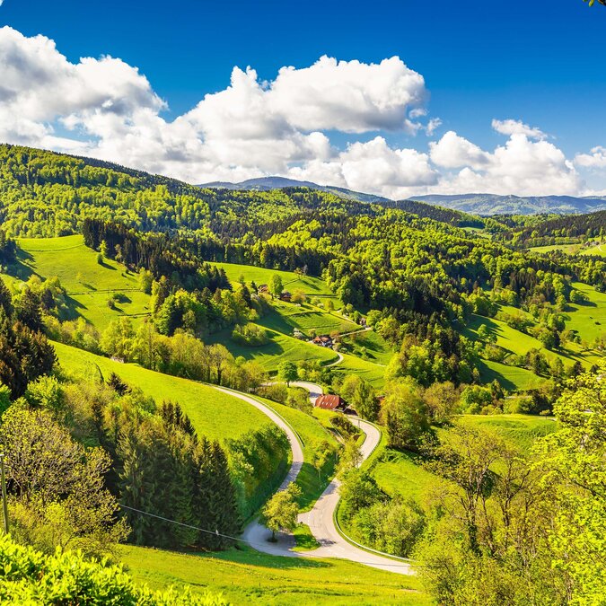 © Shutterstock 409533580