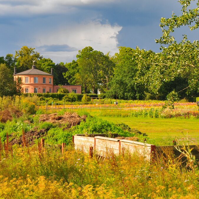 Rosendals Trädgard als Erholungsort in der Nähe von Stockholm | © shutterstock / 1417475903