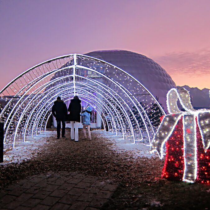 Pärchen läuft in einem beleuchteten Bogen neben beleuchteter Weihnachtsdeko | © shutterstock / 772055065